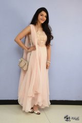 Mehreen at Krishna Gadi Veera Prema Gaadha Movie Thanks Meet